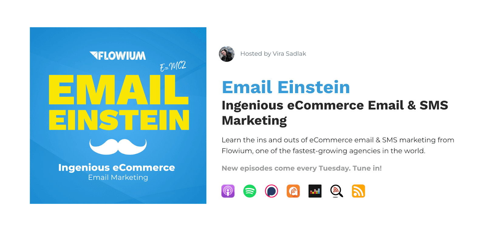 Homepage of the podcast, Email Einstein