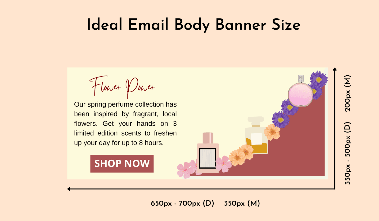 Ideal email body banner size