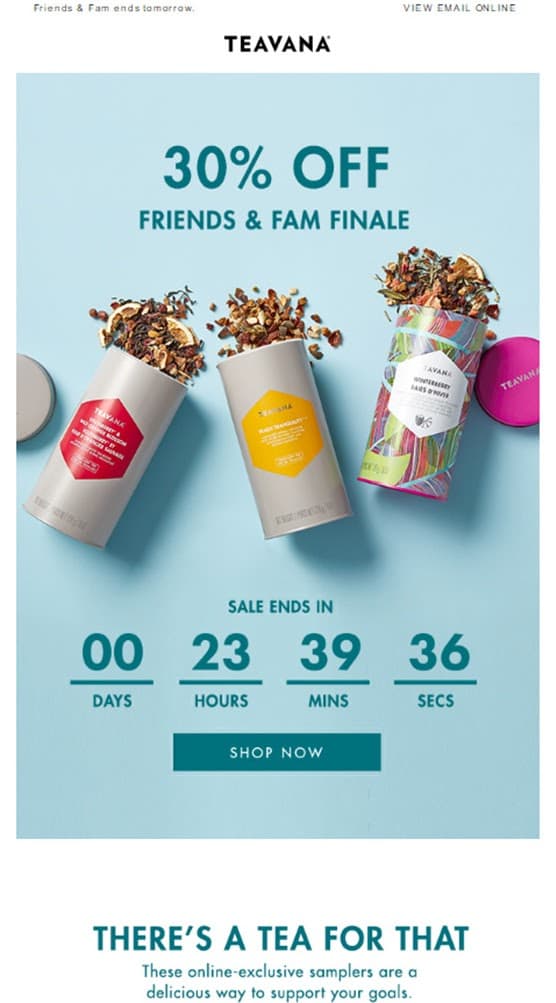 Example of promotional email from Teavana